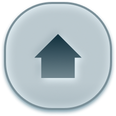 home button